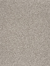 Ковролин AW Terra 94 фото 1 | FLOORDEALER